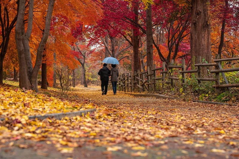 Nature Stroll